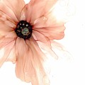 Flower Blush Neutral